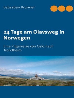 cover image of 24 Tage am Olavsweg in Norwegen